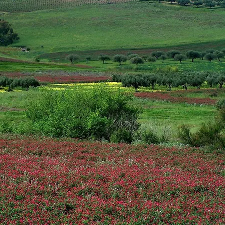 Ciuri Di Badia 3*