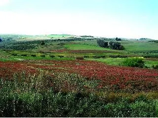 فندق Ciuri Di Badia